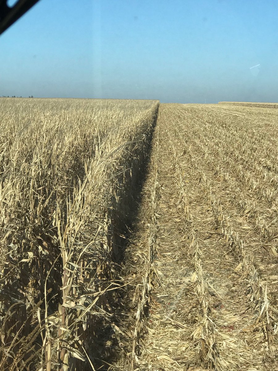 AmySeegmiller's tweet photo. Sun is shinning thank god #cornharvestdaywhoknows2017😎 https://t.co/jdUJRgPU4K