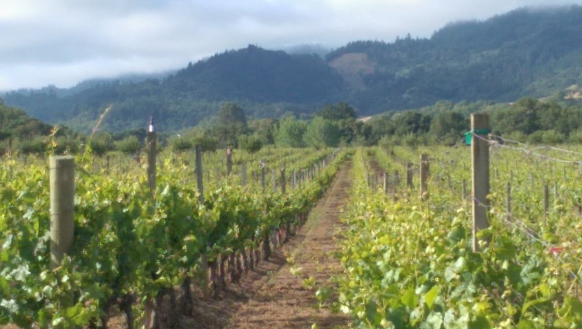 Come be wined &amp; dined and meet one of California's most exciting Pinot Noir Makers Nov. 17th!  Winemaker David Rossi will lead you through his varietals paired with Chef Luke's tantalizing creations. Meet us at the Chef's Table. 
#winelovers 
#PinotNoir #FulcrumWinery
#winenot