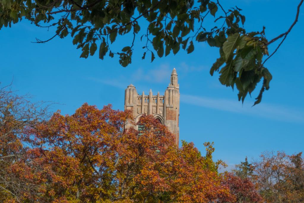 michiganstateu's tweet photo. Fall looks good on #MSU's campus. #MSUView https://t.co/seNAUzW2c0