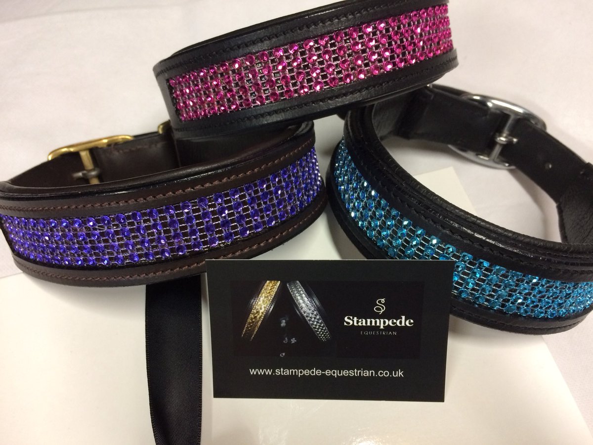 StampedeEq's tweet photo. Which colour would you choose on our Christmas sales #Dogs #GoodVetGuide #WoofWoofNetwork #Dogsarefamily3 #GoodDogMagazine #thedogslist https://t.co/0IC3SIJdqM