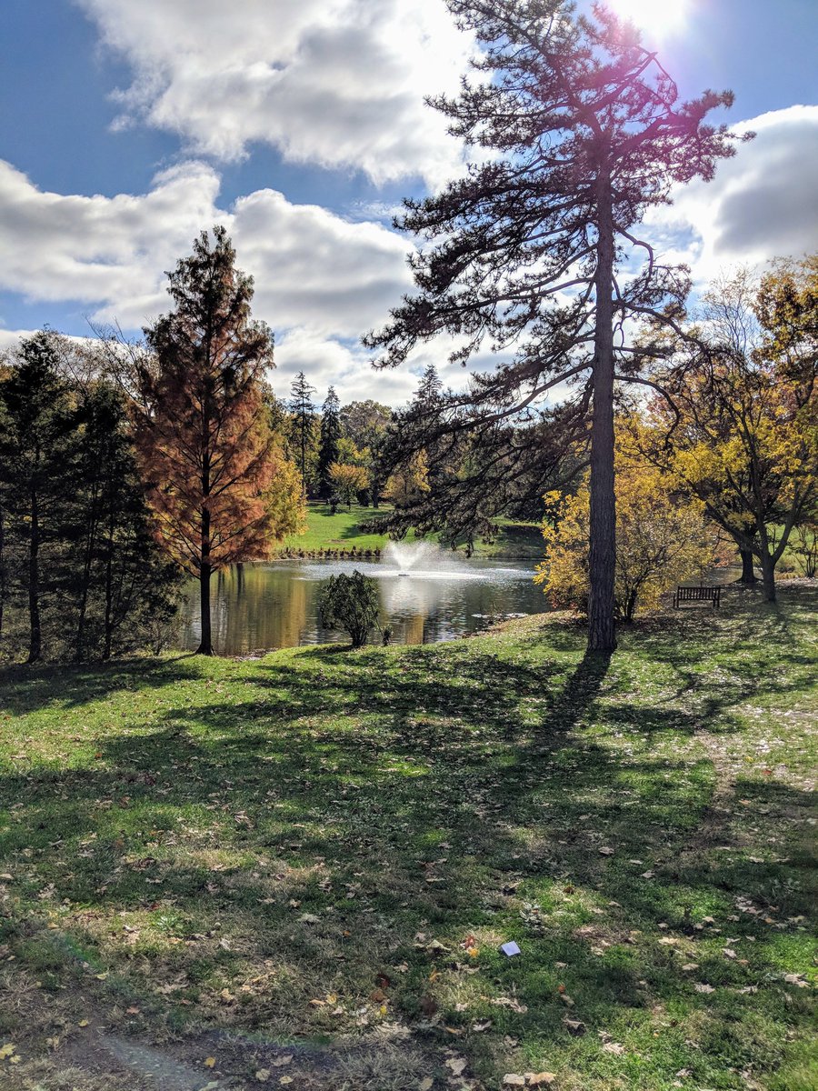 BobbyRivera89's tweet photo. Beautiful fall day on Cook/Douglas campus. @RutgersU https://t.co/1hzlZuf3ft
