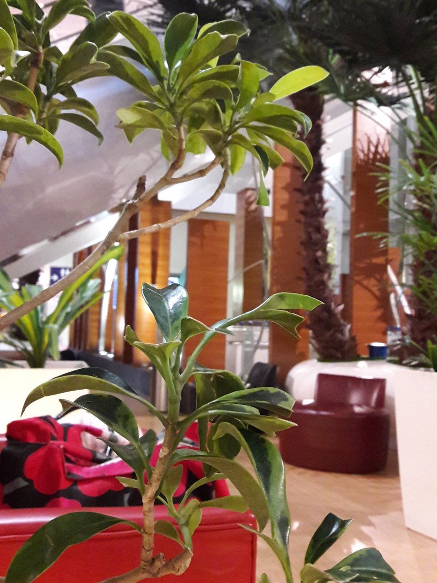 irma kusumaningrum (@m4ir) on Twitter photo 