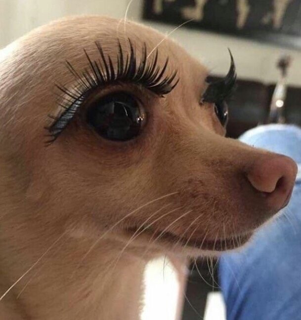 LCposhx's tweet photo. Me before and after watching the Birthday video... @kmichelle https://t.co/rBXzNT7oO2