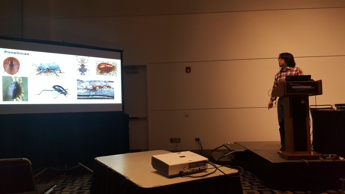 insect_taxonomy's tweet photo. Our very own #postdoc Kojun giving us that #Pimeliinae #knowledge. We owe so much to his #sequencing and those sweet sweet #trees. #smithonit #kya #tenebs #systematics #beetles #EntSoc17 #soproud https://t.co/8P2QxZp1iq