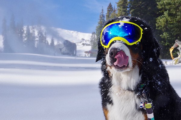 Latest maddogmom blog post on playing hooky midweek, early season to #ski <a href="/Arapahoe_Basin/">Arapahoe Basin</a>. My kids thought it was unfair. I told them life's not fair. Haha! The bullwheels are turning at A-Basin and <a href="/LovelandSkiArea/">Loveland Ski Area</a>. goo.gl/WfWSgX