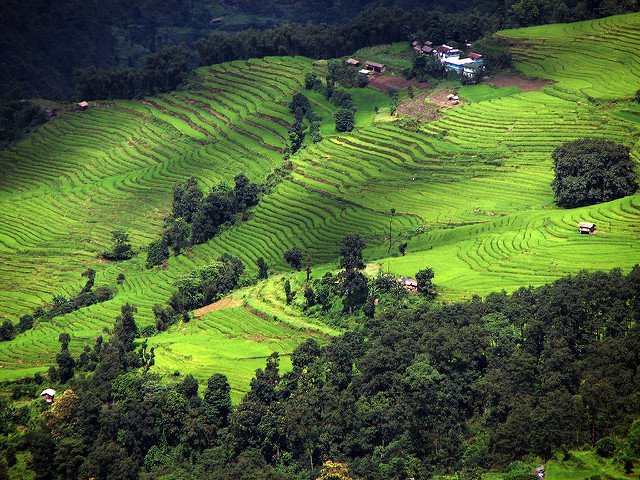 columbiaclimate's tweet photo. Swapping Where Crops are Grown Could Feed an Extra 825 Million People https://t.co/mhF5arLgUa https://t.co/ld0jmrpHNB