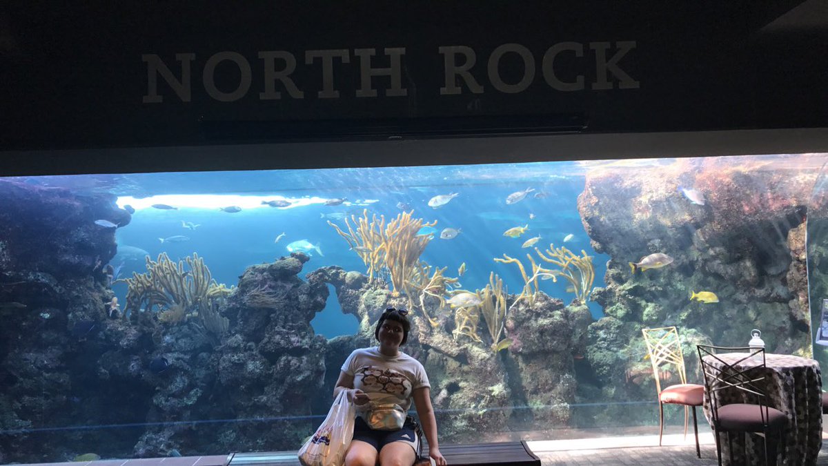 chloeattwood's tweet photo. From Saltus to BHS via the aquarium✌🏼📚🇧🇲🐬🐠#ScienceWithScientists2017 ScienceWithScientists2017 #DigicelBermuda #DMUGlobal https://t.co/d48CVWJhD5