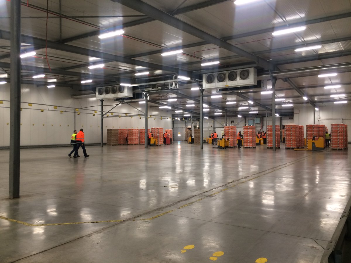 la1ere's tweet photo. Le port de Dunkerque attend avec impatience le retour de la banane de #Guadeloupe et #Martinique 🍌Elle a fait sa renommée à la fin des années 90 #Antilles 
https://t.co/B3FInDnfOs https://t.co/w6W20p1Zn9