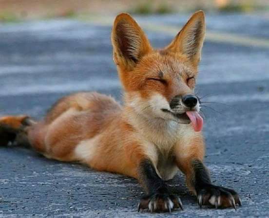 NagyClaudia3's tweet photo. ...hugs Tommy ❤️😚 @TommyJoeRatliff 🙂 https://t.co/ZqiMuC67JY