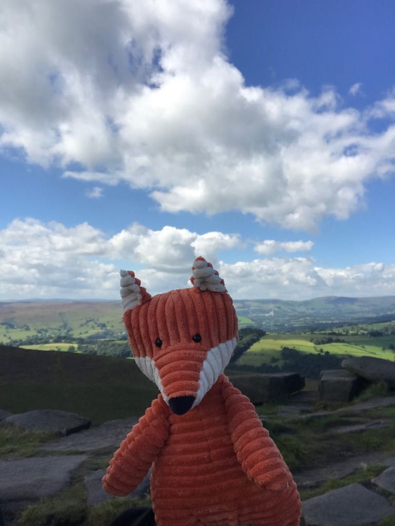 Not only have @makingmovesldn saved clients £8m in 3 yrs of business, their team mascot is a rescue fox called Felipe #GrowingBusinessAwards