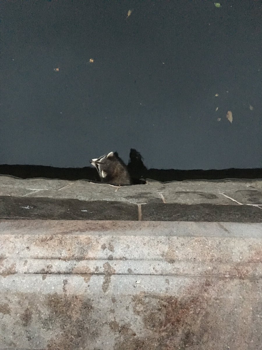 Great weather outside