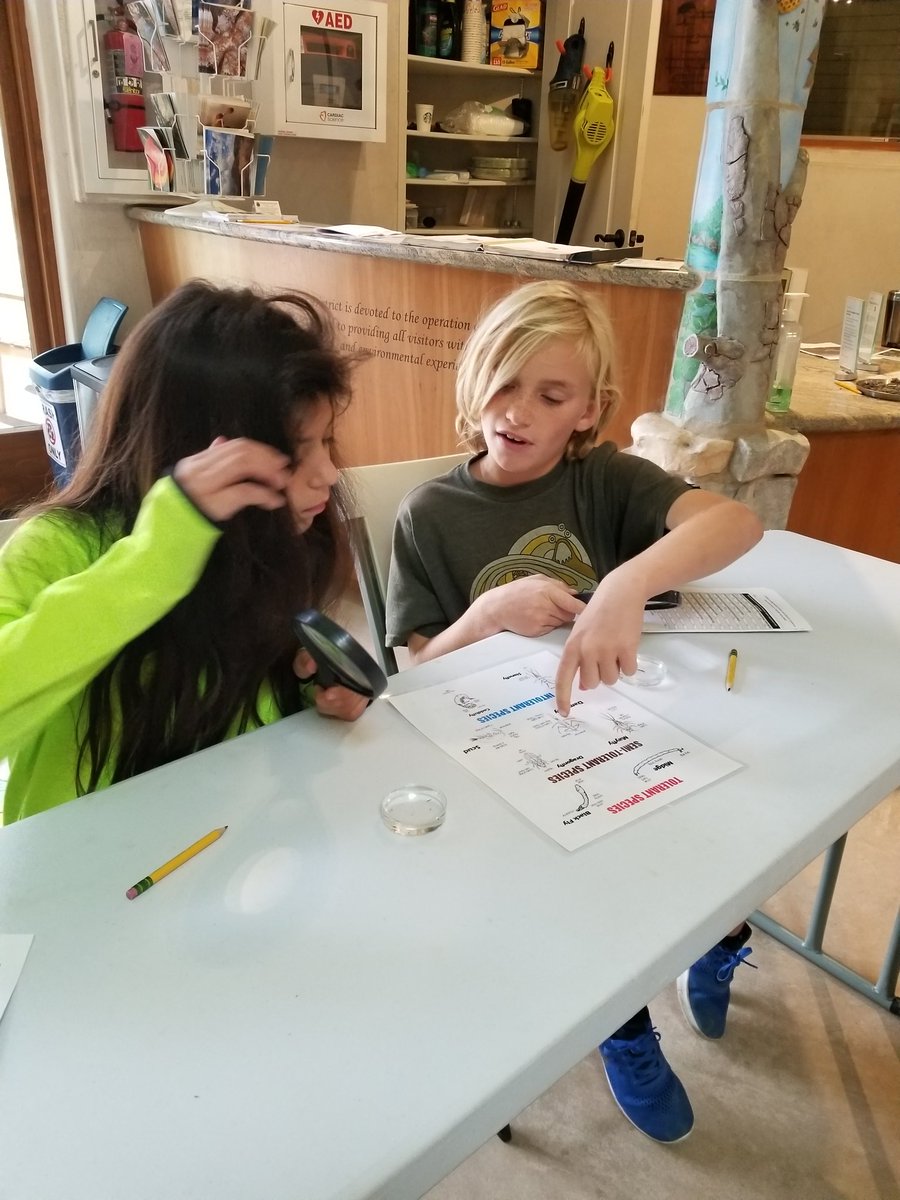 kelphugger4real's tweet photo. Is the creek healthy enough for our trout? #troutintheclassroom @escondidocreek #htenc @HTeNorthCounty @CaliforniaDFW @SDGE https://t.co/IjRrGAP1uI