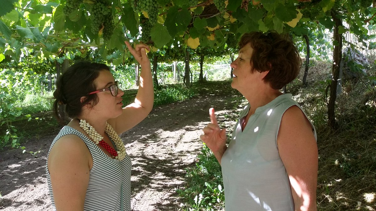 BodegasChaves's tweet photo. Ana and Frans Maes #pilgrims from Belgium, came to visit us. They love our Castel de Fornos #Albariño and #Red from Rías Baixas. We hope to see them soon.
#riasbaixasalbariño #purechoice #winelover #voicesofalbariño #findtheway #Way #SantiagoCompostela #bodegaschaves #Galicia https://t.co/u4lHWdkOgl