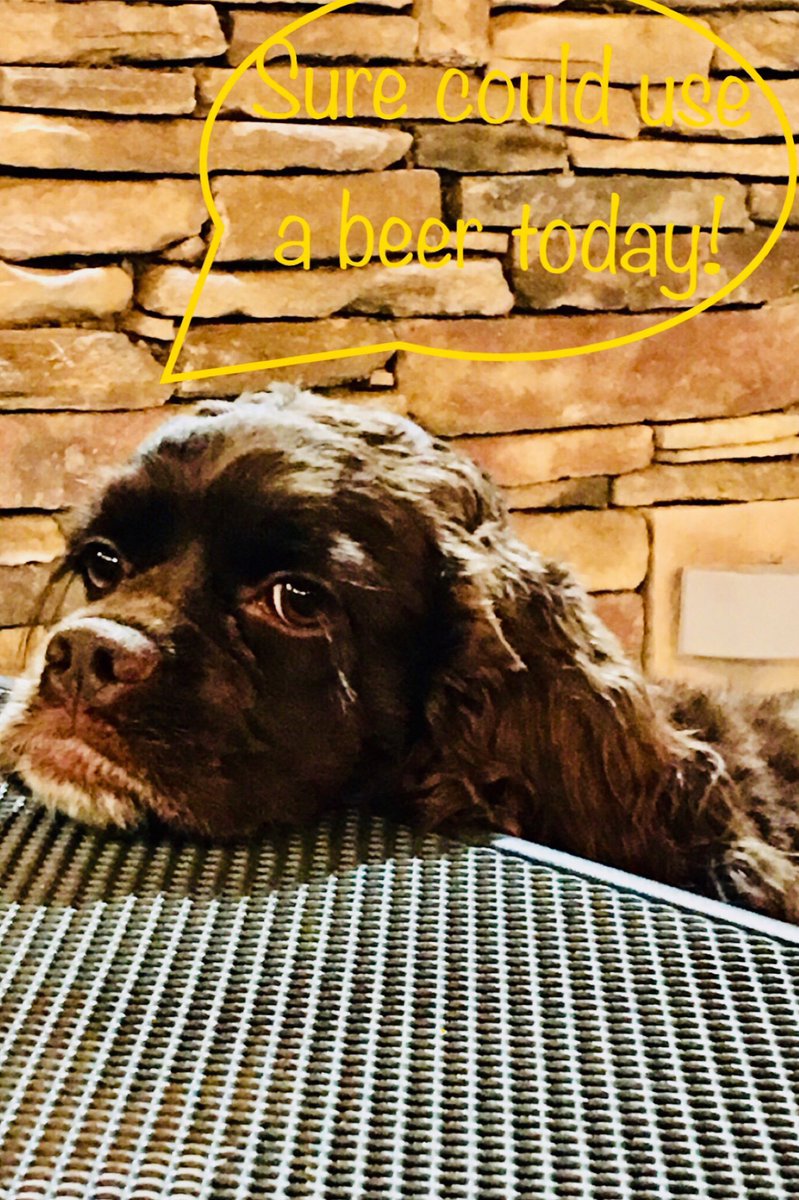 cplexingtonsc's tweet image. Feel free to bring your furry friends we are pet friendly on the patio! #thecasualpint #thecasualpintlexingtonsc #petfriendly