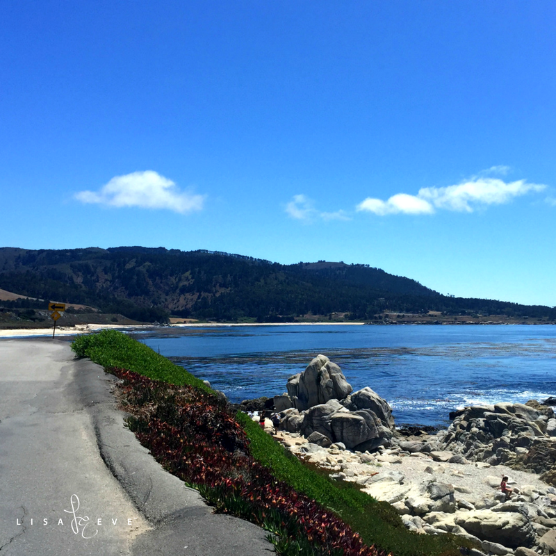 LisaEveInspires's tweet photo. When looking out at a view you like, what #Inspires you? What do you want to see more of in your life? Let your heart guide your choices. https://t.co/Ez8zy5ru5t
