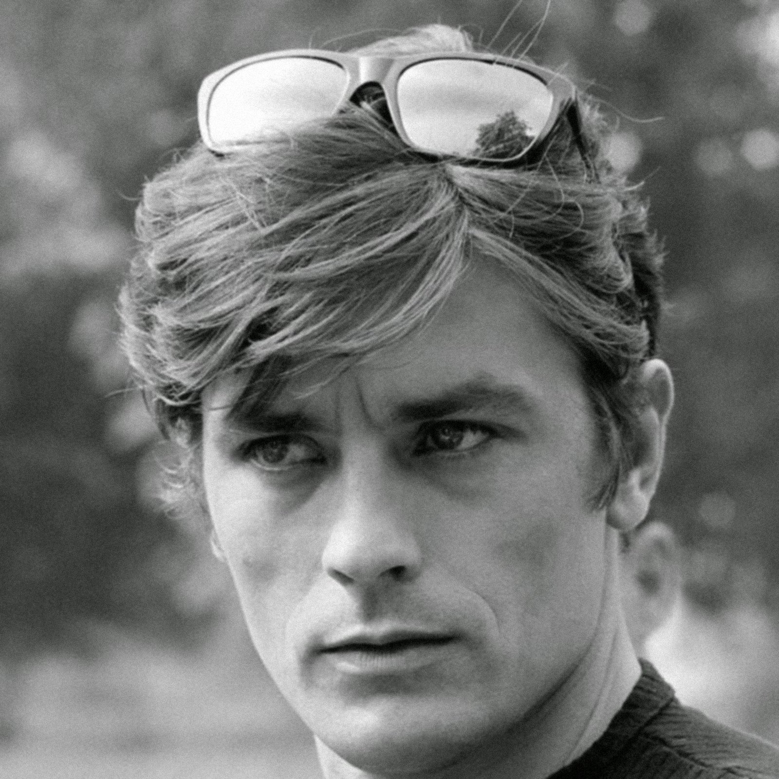 Happy birthday to Alain Delon, one of the most unreasonably handsome actors to ever grace the screen 