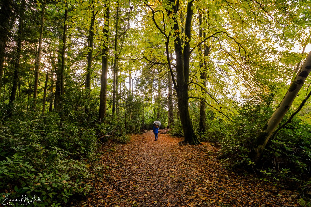 McArdlePhoto's tweet photo. The beautiful grounds of #Blessingbourne Estate, #Fivemiletown, Northern #Ireland
#ThePhotoHour @TourismIreland https://t.co/MjfGhf30l3