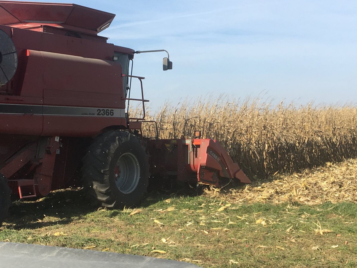 GehrkeBrandon's tweet photo. Last corn plot #harvest17 https://t.co/gTiX4BBeo1