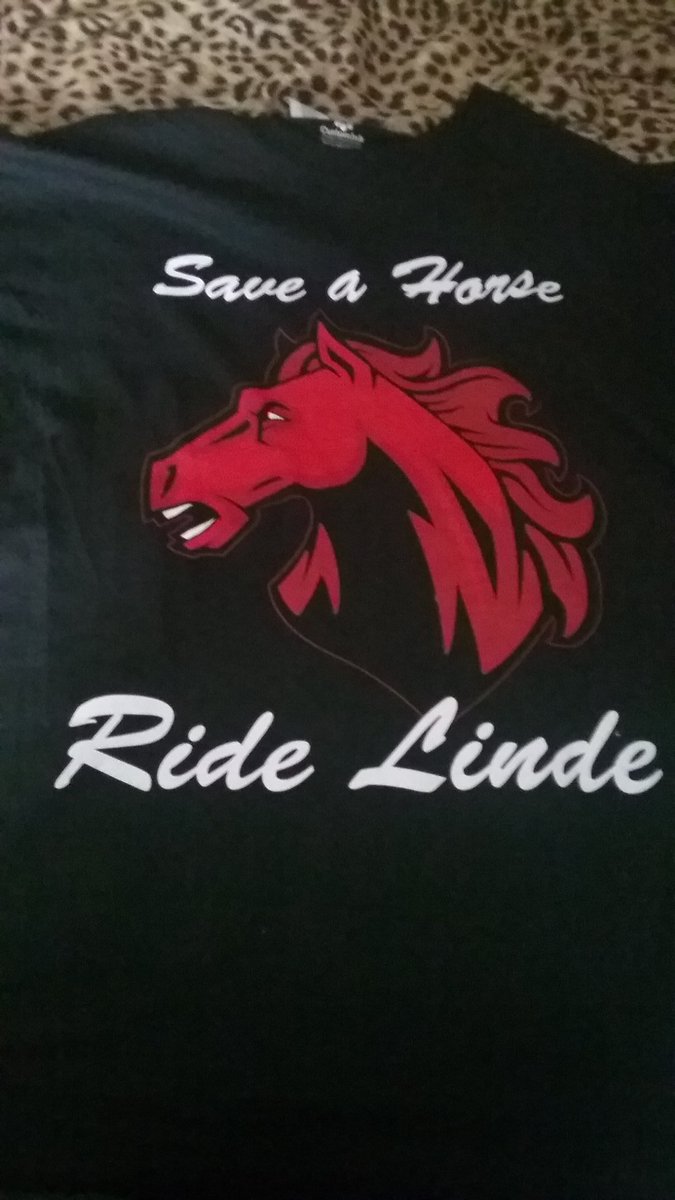 angelalovesbvb4's tweet photo. The shirt i wore last night #littlebitoffun but sadly @DLioneye didn't see it maybe he will now lol ππβ€ https://t.co/lB6vpJ99xS