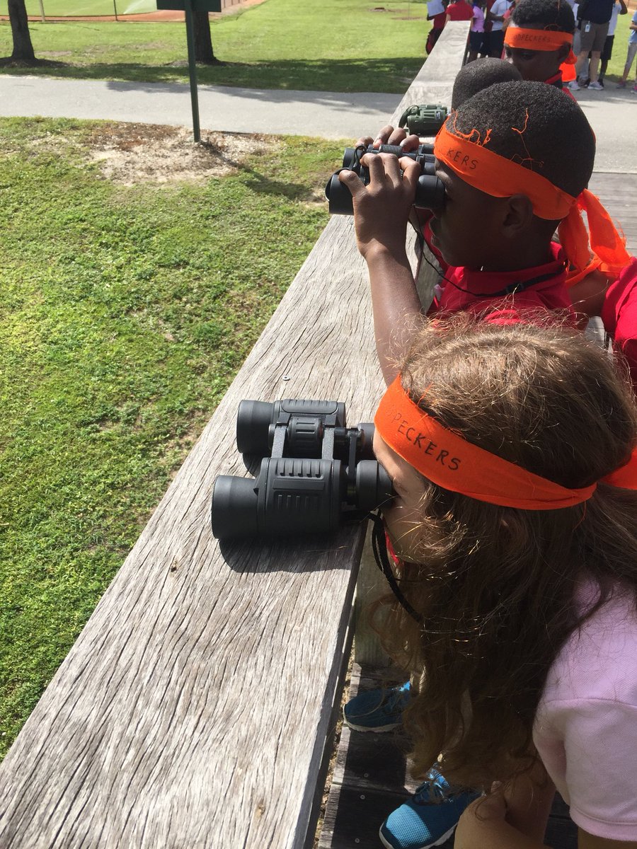 thebeachyteachy's tweet photo. Lely Lions were watching birds yesterday! 🦁🦅 https://t.co/FhJTu1tsIJ