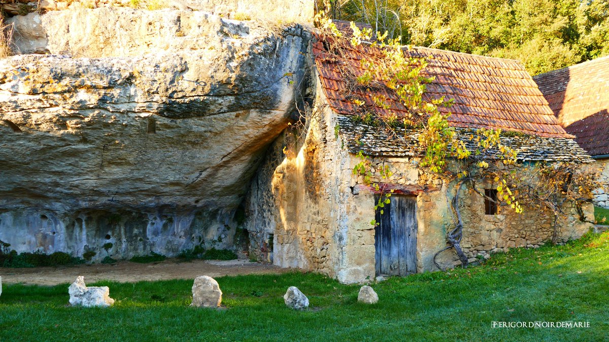 Perigord Noir Marie (@perigord_marie) on Twitter photo 