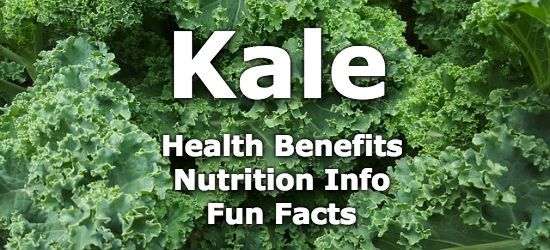 HealthAliciousNess tweet media