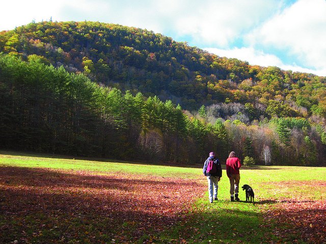 VisitMA's tweet photo. November may be halfway over but that doesn’t mean you have to give up the great outdoors just yet! #visitMA for any of these late fall hiking gems #fallMA https://t.co/PSTQctAsQU https://t.co/vecaLc0rVS
