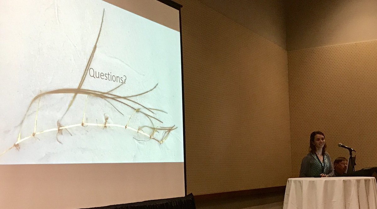 Sam_J_Lake's tweet photo. #CERF2017 asked where the sea grass  geneticists were yesterday- today Gina Digiantonio (VASG Knauss Fellow) takes the stage to present her edge-of-range sea grass population genetics research. Note - no clones were produced during this study. https://t.co/4uLPHJ2pPR