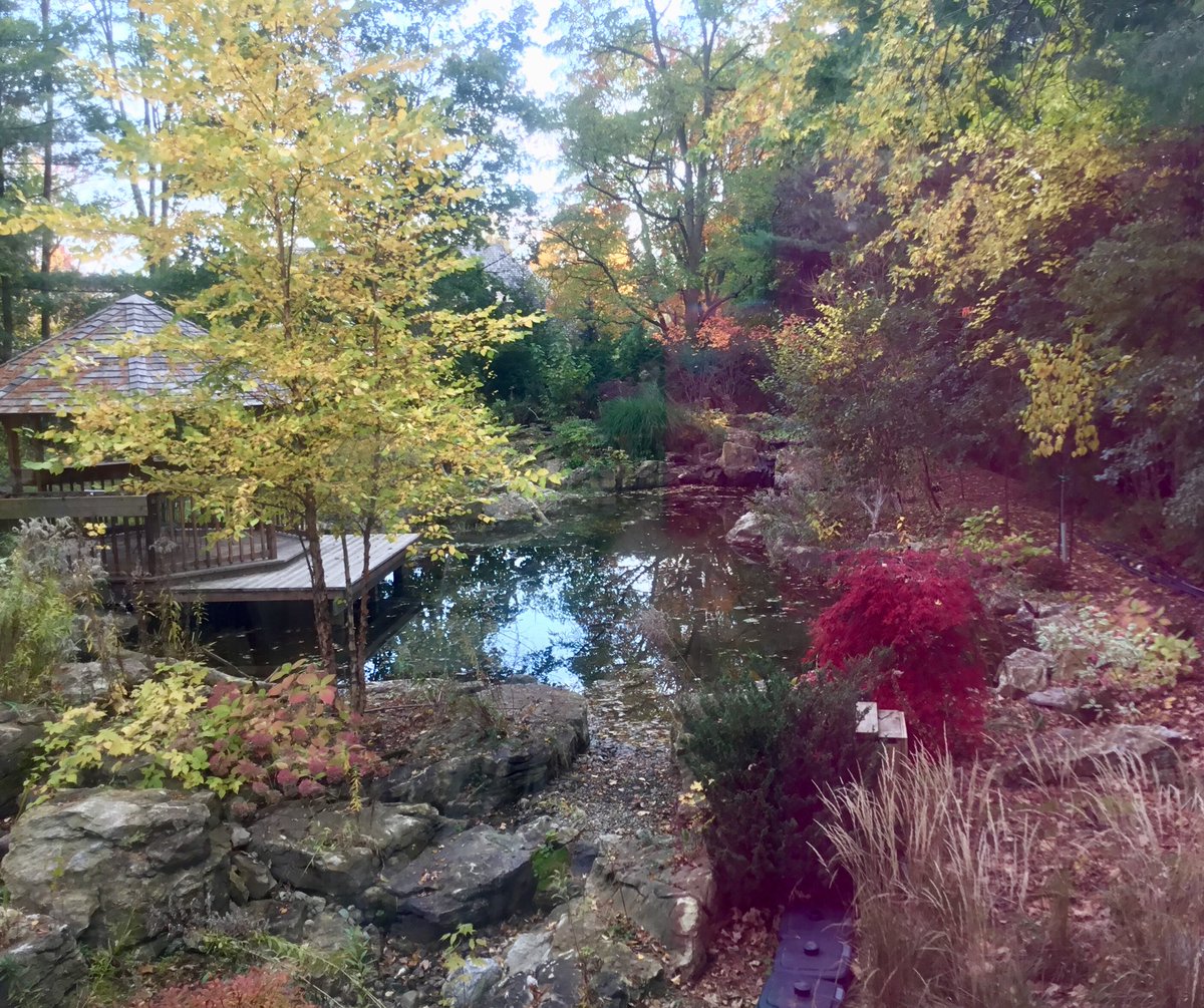 MargieKelk's tweet photo. View from my studio
#referencecontemporary #Torontoautumn #margiekelk https://t.co/XkAE6sVbr2