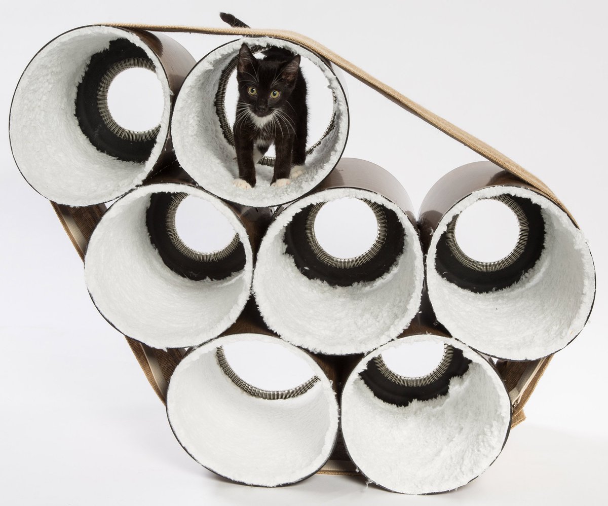 KittySnatch's tweet photo. LA architects design cat shelters to fundraise for city's stray cats. 🐈 which design is your favorite 🐾
(📰@dezeen ) .
#cat #catshelter #straycat #catfurniture #cathouse #architecture #design #designforpurpose #kittysnatch #mobileapp #mobilegames #fun #catnews #neko https://t.co/vM3ahTTGtD