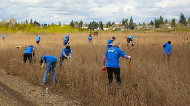 Andrew Moore tweet media