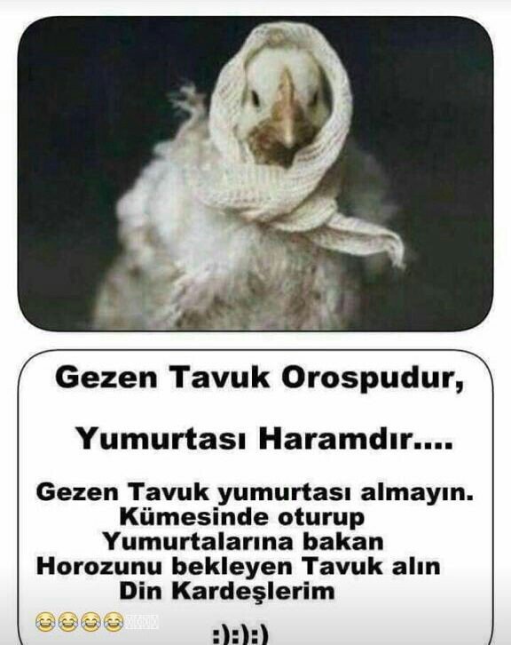 Ne güldüm akşam akşam 😂😂😂