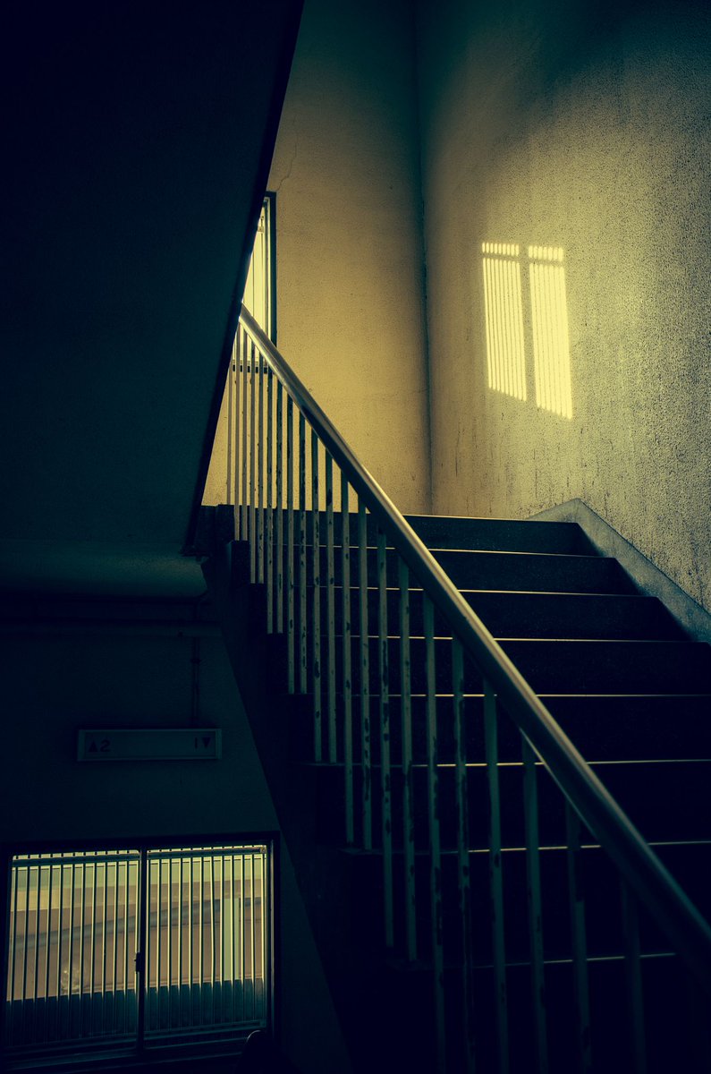 ResponseTheoryG's tweet photo. Where do these stairs go?

#travelJapan #Japan #learnJapanese https://t.co/JCjEzhbDpA