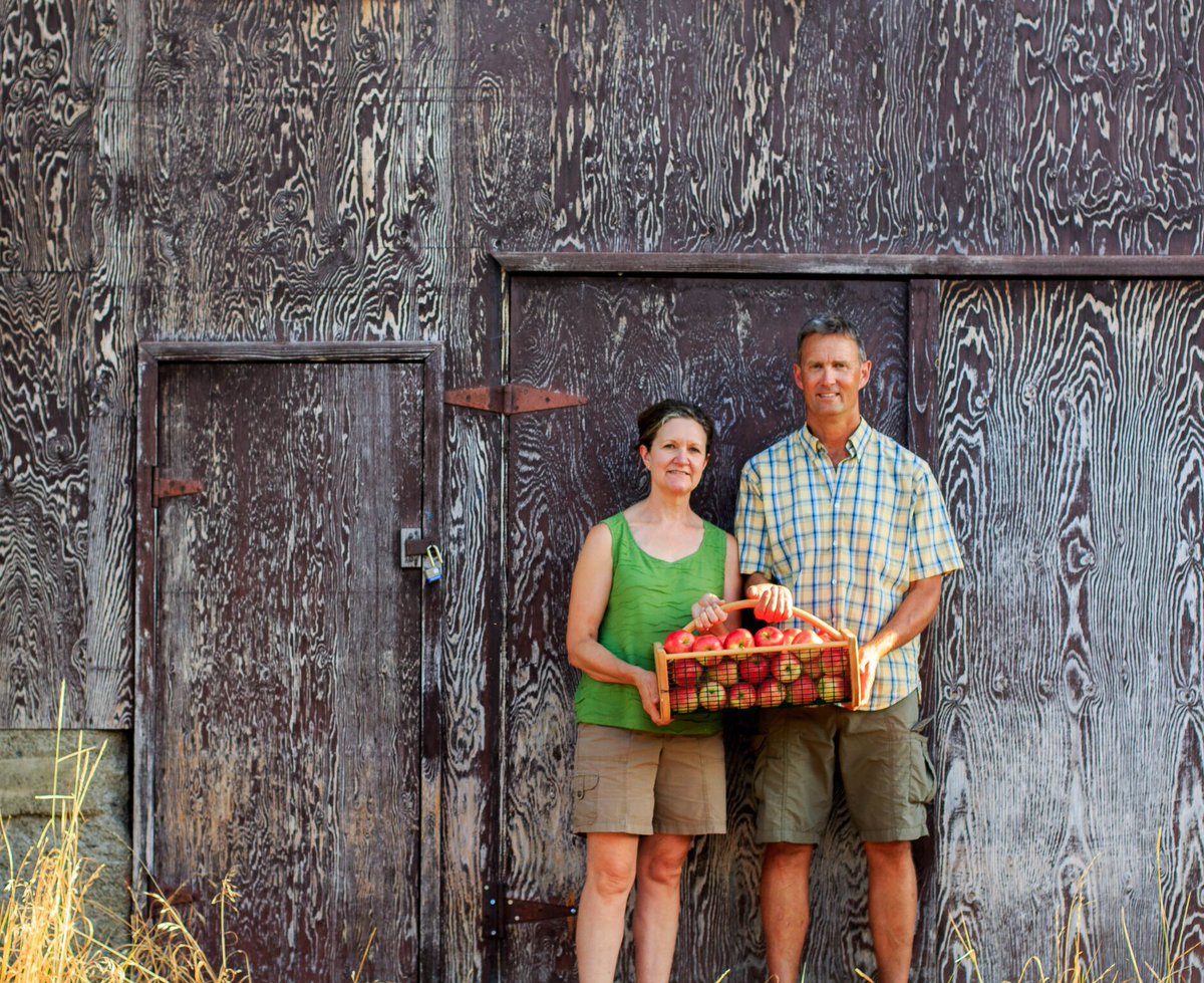 saveonfoods's tweet photo. Blair &amp; Elaine are one of over 430 growers from @bctreefruits #appleharvest #talkaboutlocal *[post with picture]* https://t.co/yu0Z2FXzue