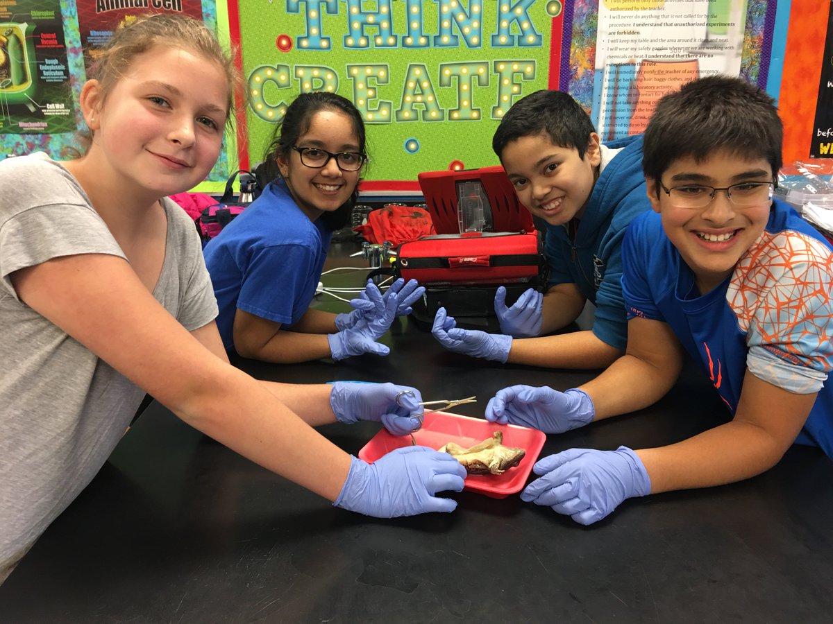 7th Grade Extended Science has a fantastic day completing their first dissection! #Prairie220 #bsd220
