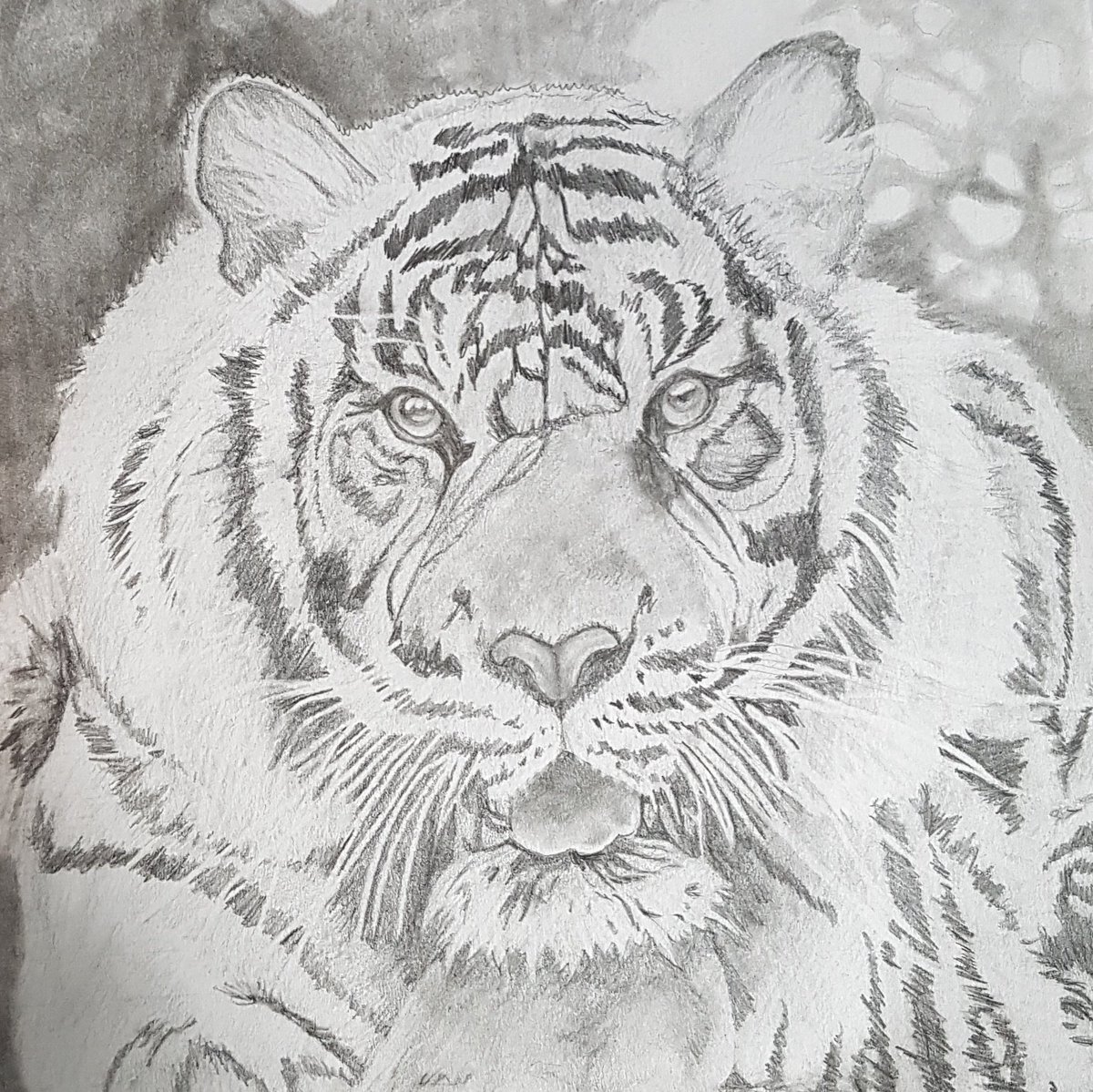 Designforyouart's tweet image. etsy.com/shop/Designedf… Animal lover? Send a picture of your pet and I will paint or draw the picture and send it to you.