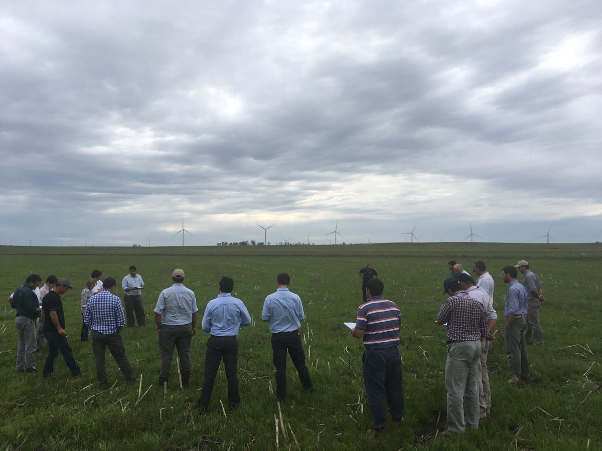 GentosUy's tweet photo. Jornada de actualización de malezas en #pasturas con nuestro equipo de extensión más productores y amigos de #Tacuarembó. https://t.co/SlaDRhxF3O