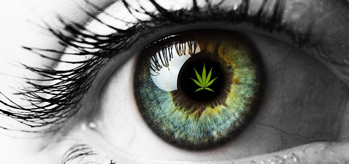 Cloud Vapor Lounge tweet media