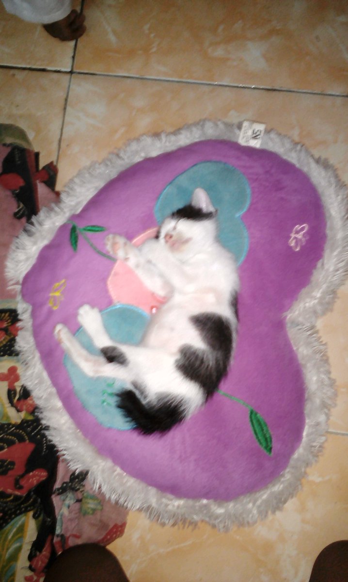 Sstt kucinkQ lghi bubuk

FIRDAUS OFFAIR KALIANGET FIRDAUS OFFAIR KALIANGET FIRDAUS OFFAIR KALIANGET FIRDAUS OFFAIR KALIANGET