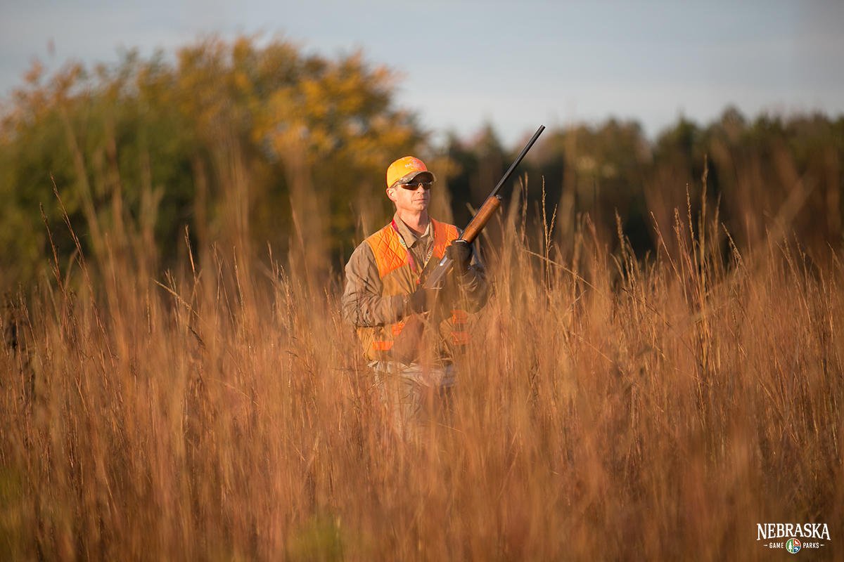 NEGameandParks's tweet photo. Fill-in the blank: My favorite hunting season is ______.

#NEGameandParks https://t.co/PXlr3m8Lk4