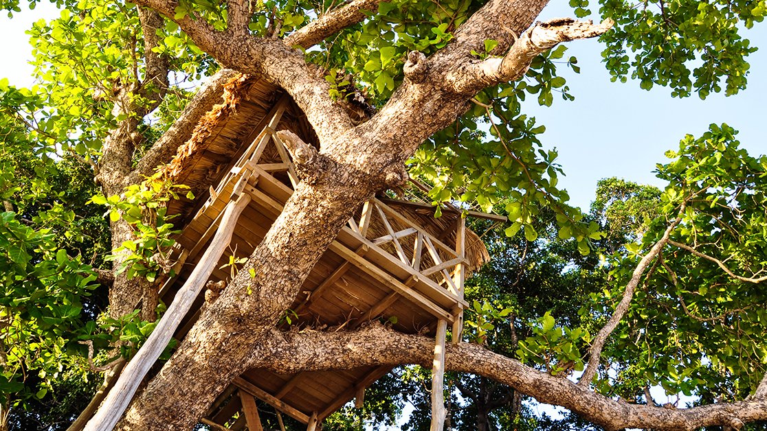 yelladealer's tweet photo. Kids aren’t the only ones who enjoy a good treehouse. Send us your photos. https://t.co/03GEn7U1pU