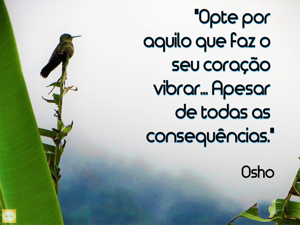 MensagemZen's tweet photo. Opte por aquilo que faz o seu #coração vibrar. Apesar de todas as consequências.#Osho
📸#BeijaFlor #SerraDoMar
+ sobre #FotoMsg em https://t.co/xpSD0iT0KJ
#SDV #PlanetaTerra #Natureza #MsgZen #Fotografia #Brasil #Photography #BirdWatching #MataAtlântica #MeioAmbiente #Environment https://t.co/XY9nw6qY3t