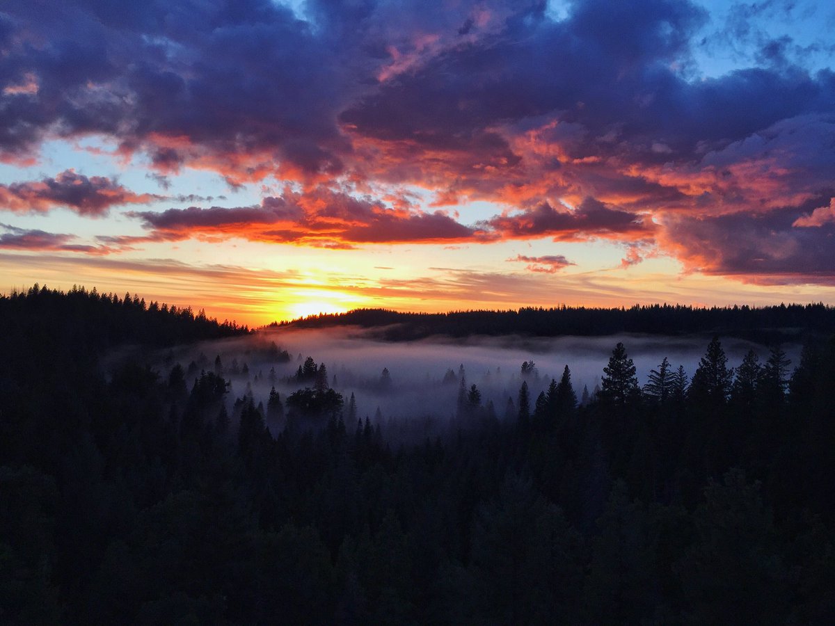 FotoAssassin's tweet photo. Anthem of the Sun #sunset #nature #sky   #outdoors #trees #naturephotography  #wilderness #iphonephotography #BKR510 https://t.co/D9DjSjLeW6