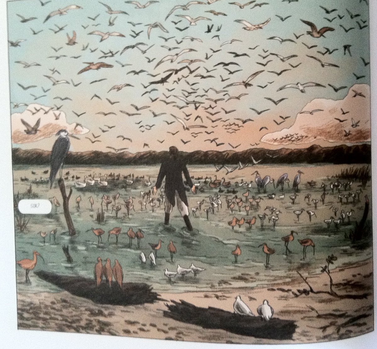 #Audubon ("On the wings of the world"): "Life is what I aim to represent. A bird is a living entity, not just lifeless matter" #biographies #books #birds