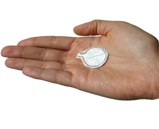 Encellin is Developing a Cell Therapy Technology to Address Type I Diabetes mdgdgt.com/2hUifqe