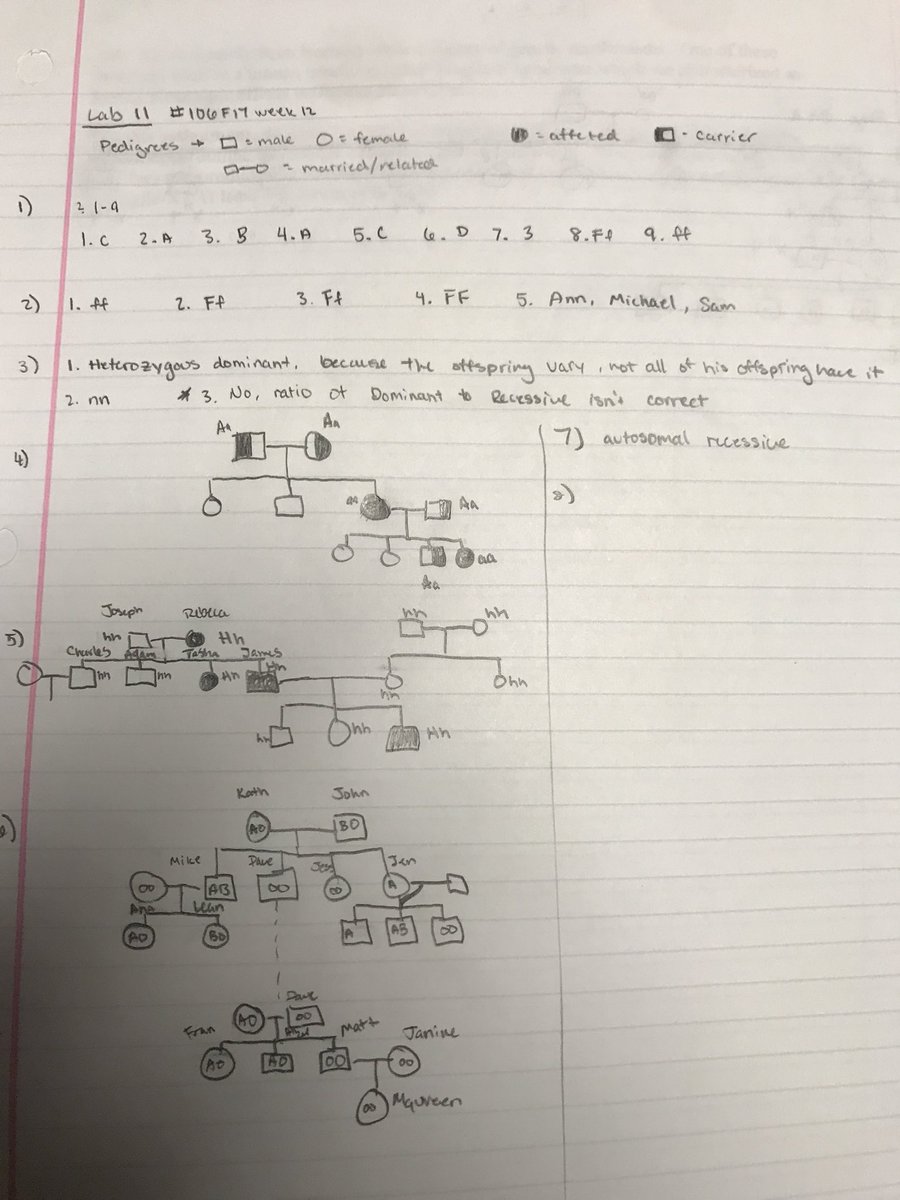 MummConnor's tweet photo. Looking at Pedigrees in lab this week @UNKBiol106CW #106F17week12 https://t.co/pBsck4x233