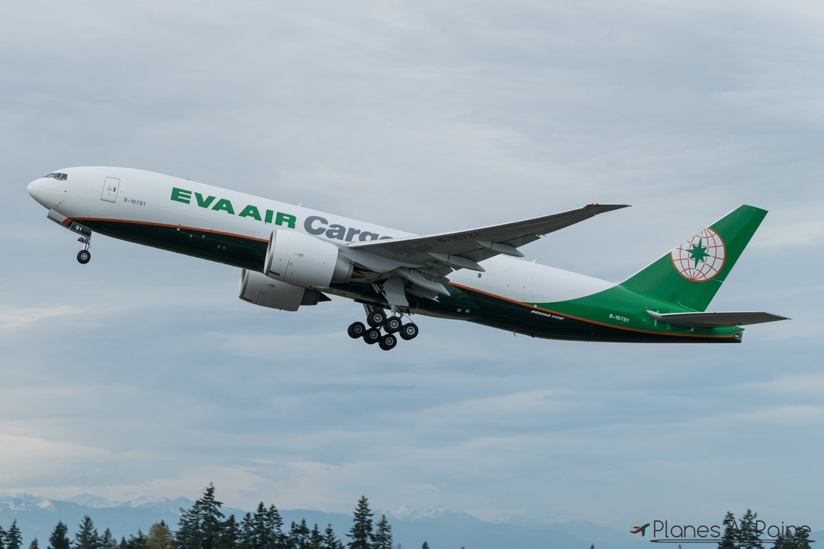 PlanesAtPaine's tweet photo. The first 777F for @EVAAirUS, B-16781, leaving Everett this morning for Taipei as #EVA689. #Delivery #Seattle #FreightDog #EVACargo #B777 https://t.co/OJIHrgvmjE