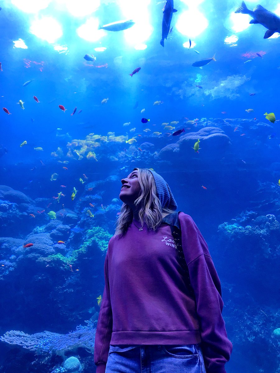 PENSACOLA! We will be performing 3 nights this week at The Pensacola Fish House • 7-10 WED • 9-1 FRI • 9-1 SAT • 🔹