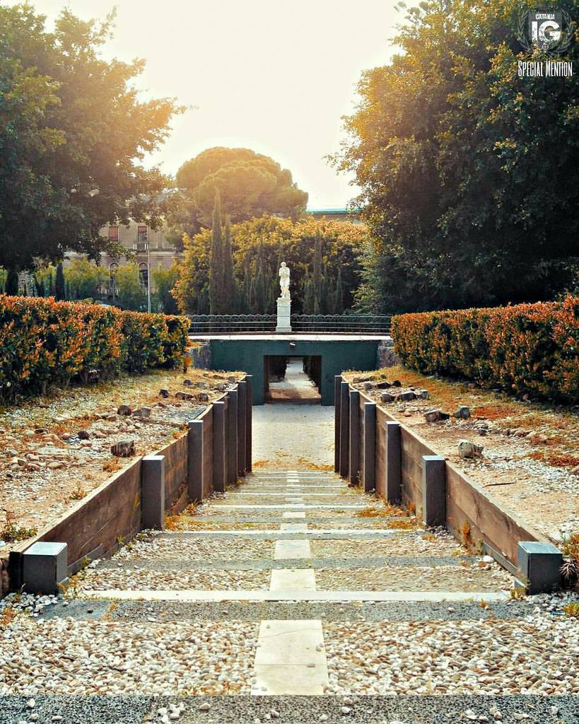 IgCatania's tweet photo. SPECIAL MENTION
FOTO DI - @ilmarziano_
L U O G O - Villa Bellini
LOCAL MANAGER - @Pietrocarus
SELEZIONATA  DA - @pietrocarus
T A G - #ig_ca… https://t.co/hr95XMlcZP