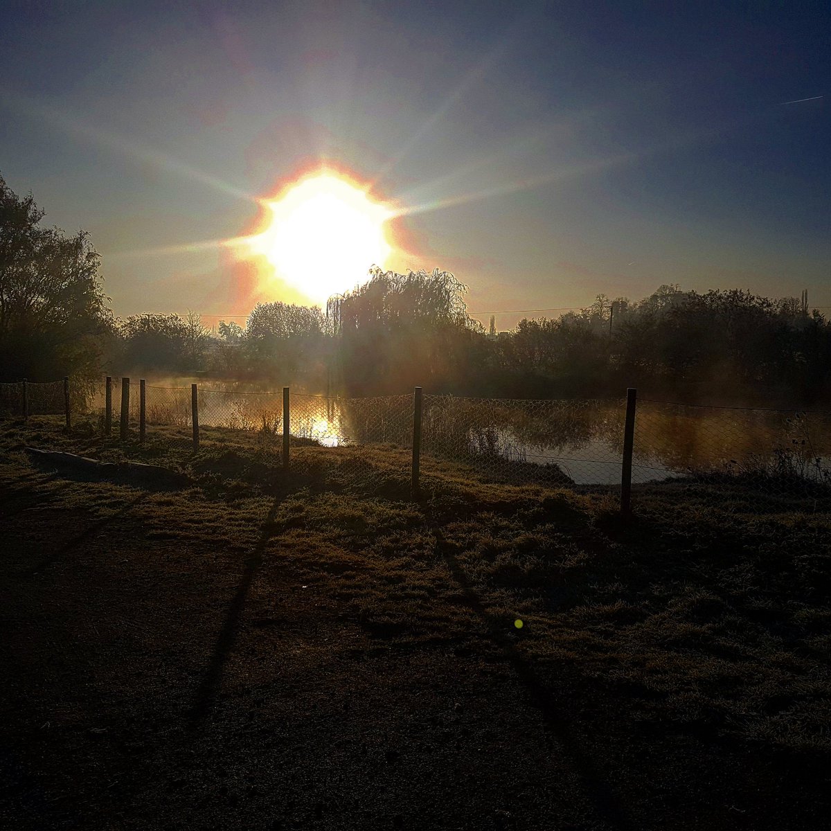 Frosty sunny morning start fishing
#frost #sun #sunrise #fishing #lakefishing #wintersun #carp #perch #chub #love #nature #blueplanet